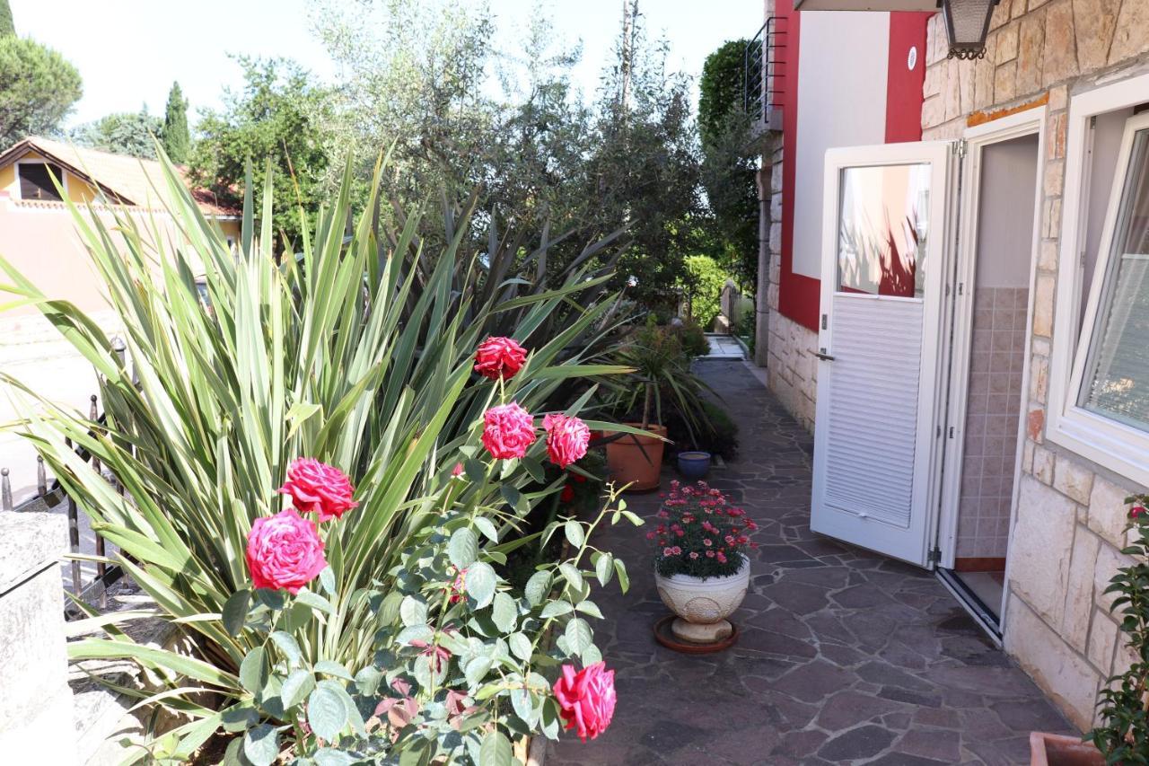 Soraja Apartments Izola Exterior photo
